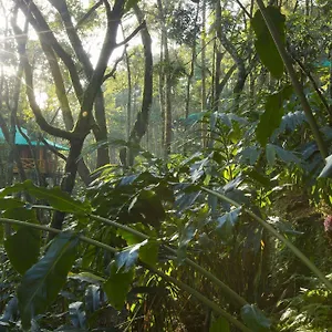 https://dream-catcher.hotels-munnar.com